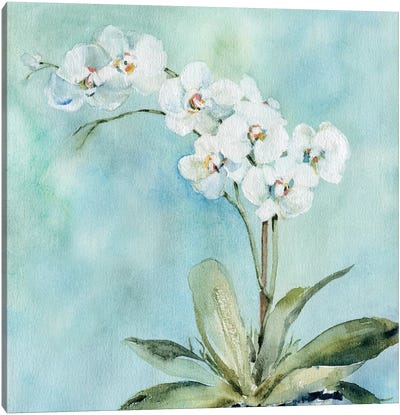 Sunlit Orchid Canvas Art Print - Orchid Art