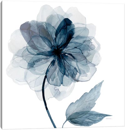 Indigo Bloom I Canvas Art Print - Gray & White Art