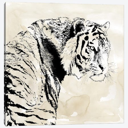 Tiger Stripes I Canvas Print #CRO1063} by Carol Robinson Canvas Artwork