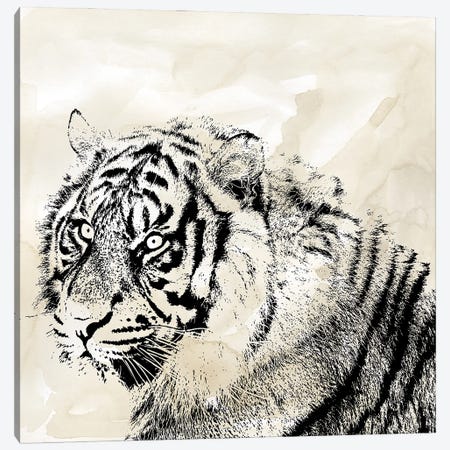 Tiger Stripes II Canvas Print #CRO1064} by Carol Robinson Canvas Print