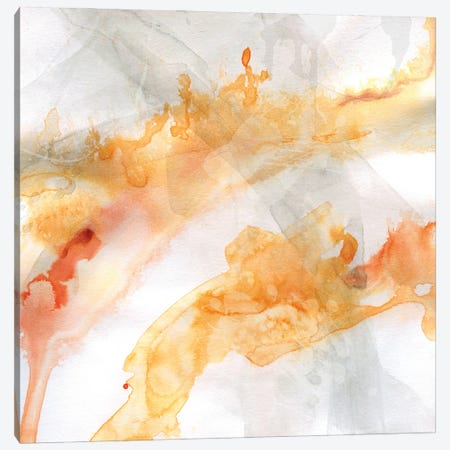 Transparent Opposites I Canvas Print #CRO1065} by Carol Robinson Canvas Print
