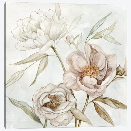 Washed Botanical I Canvas Print #CRO1067} by Carol Robinson Canvas Art Print