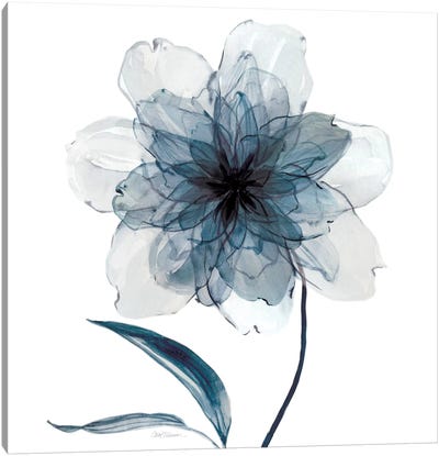 Indigo Bloom II Canvas Art Print - Blue & White Art