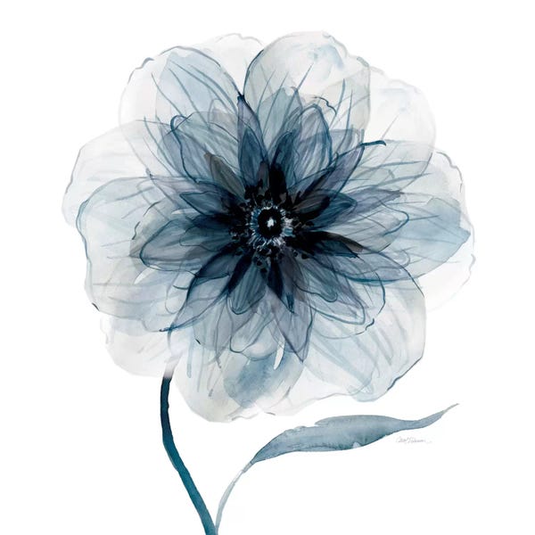 Galaxy Of Graphics: Indigo Bloom III by Carol Robinson