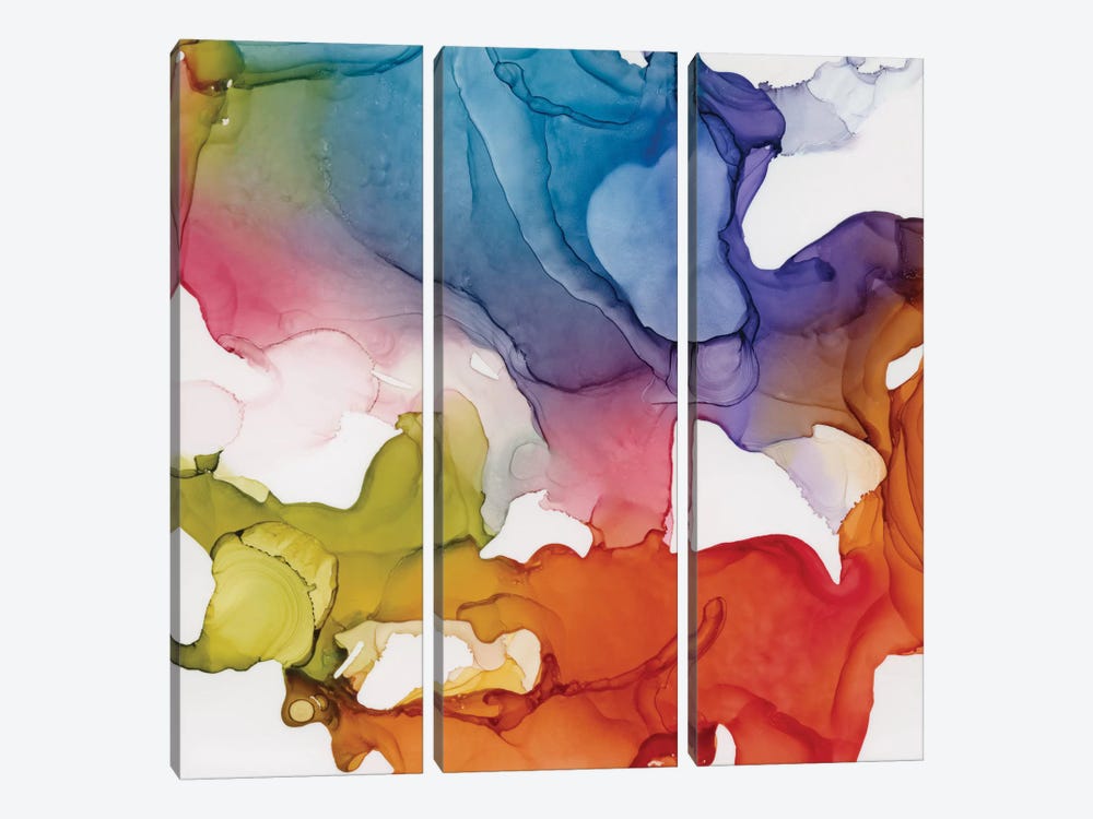 Spectrum Colors II by Carol Robinson 3-piece Art Print