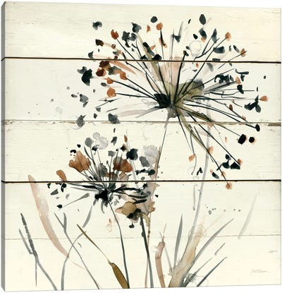 Nature's Lace I Canvas Art Print - Allium Art