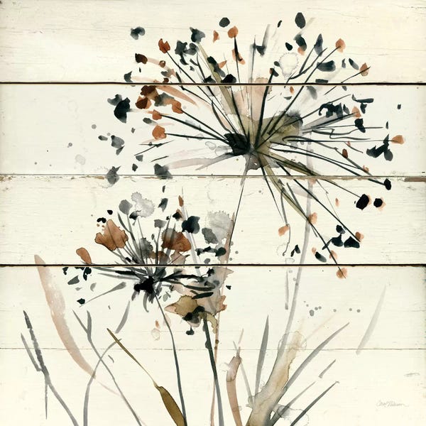 Rustic Décor: Nature's Lace I by Carol Robinson