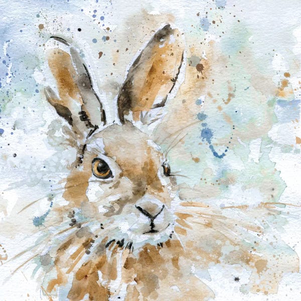 Rabbits: Hare by Carol Robinson