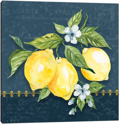 Blue Lemon Squeeze I Canvas Art Print - Large Art for Kitchen