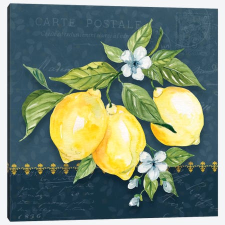 Blue Lemon Squeeze I Canvas Print #CRO1103} by Carol Robinson Canvas Print