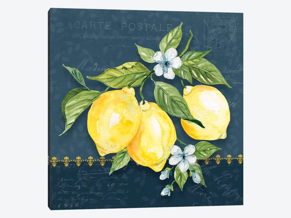 Blue Lemon Squeeze I by Carol Robinson 1-piece Canvas Print