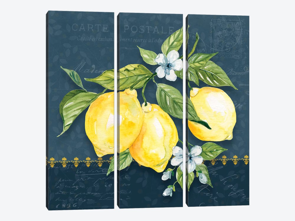 Blue Lemon Squeeze I by Carol Robinson 3-piece Canvas Art Print