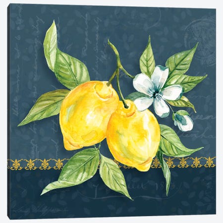Blue Lemon Squeeze II Canvas Print #CRO1104} by Carol Robinson Canvas Artwork