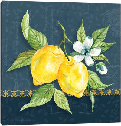 Blue Lemon Squeeze II Canvas Art Print - Lemon & Lime Art