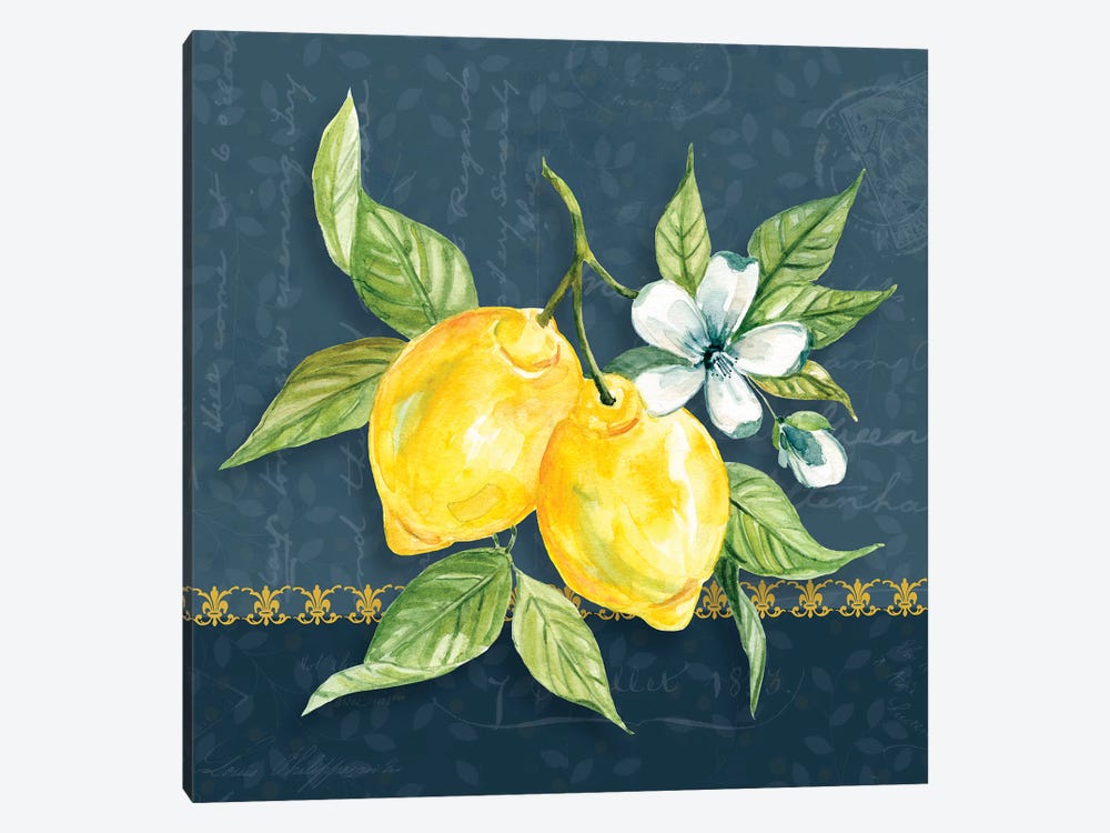 Blue Lemon Squeeze II by Carol Robinson 1-piece Canvas Art