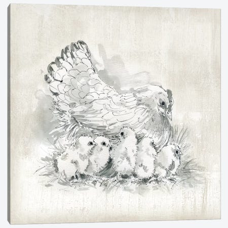 Hen And Chicks Canvas Print #CRO1115} by Carol Robinson Canvas Print