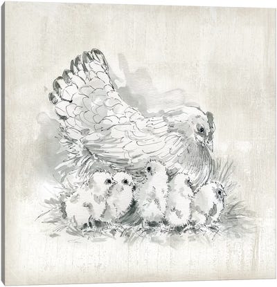 Hen And Chicks Canvas Art Print - Chicken & Rooster Art