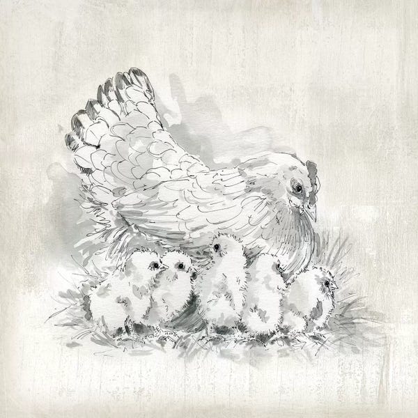 Chickens & Roosters: Hen And Chicks by Carol Robinson