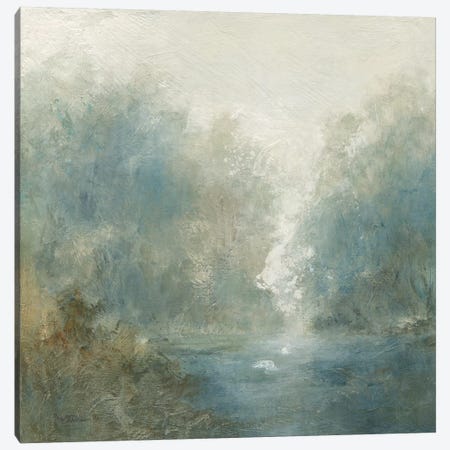 Quiet Mist Canvas Print #CRO1129} by Carol Robinson Canvas Print