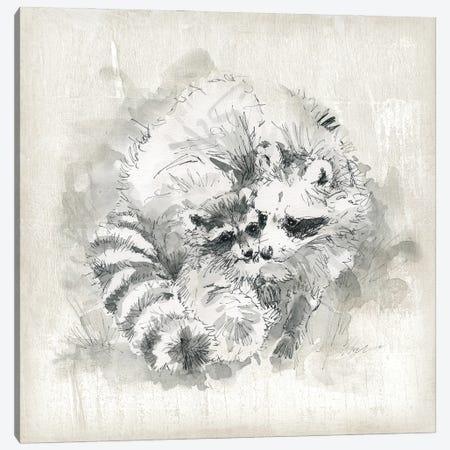 Raccoon Momma And Baby Canvas Print #CRO1130} by Carol Robinson Canvas Wall Art