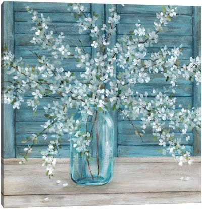 Shuttered Blossoms Canvas Art Print - Carol Robinson