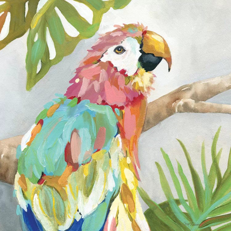 Tropical Plumage