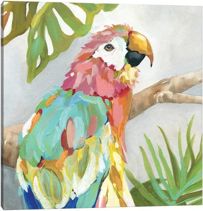 Tropical Plumage Canvas Art Print - Parrot Art