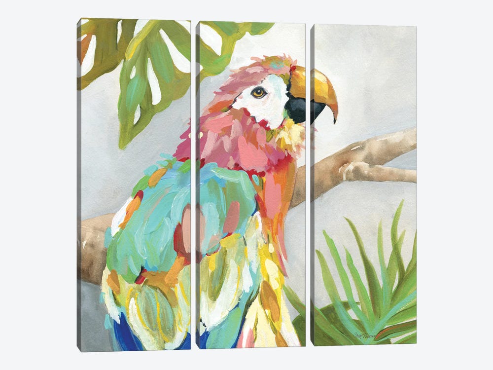 Tropical Plumage by Carol Robinson 3-piece Canvas Print