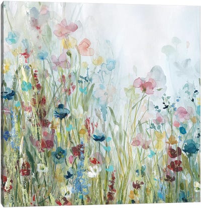 Wildflower Meadow Canvas Art Print - Carol Robinson