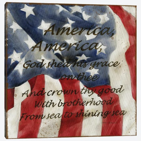 America Canvas Print #CRO1163} by Carol Robinson Canvas Art Print