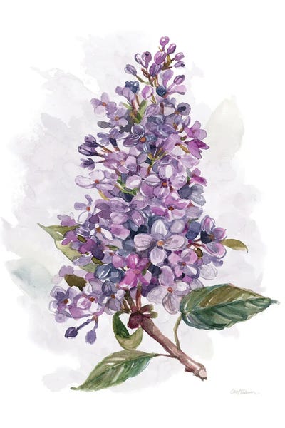 Lilac Flower Prints