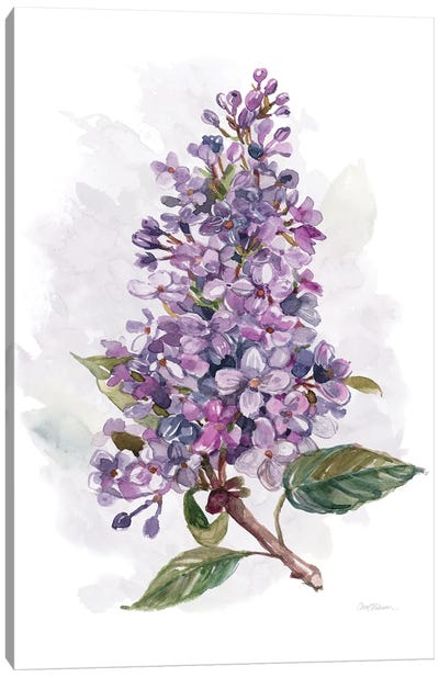 Awash in Lilac I Canvas Art Print