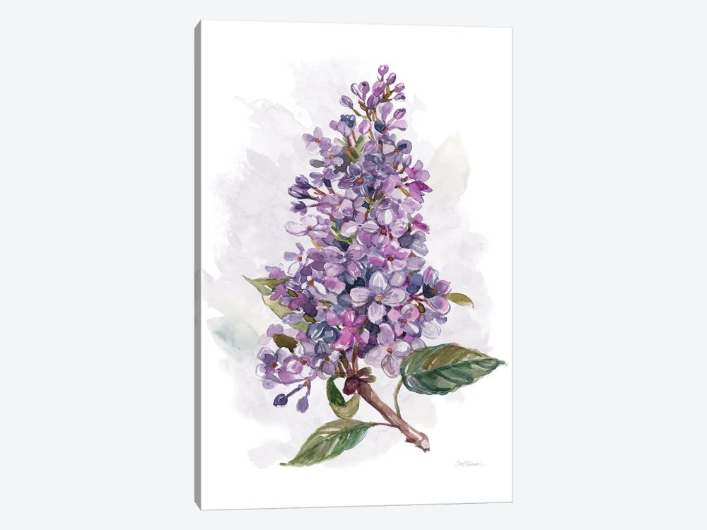 Awash in Lilac I by Carol Robinson 1-piece Canvas Artwork