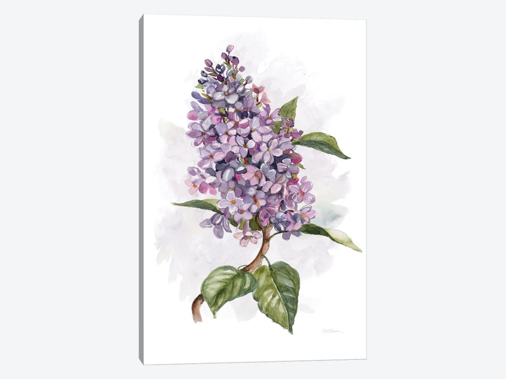 Awash in Lilac II by Carol Robinson 1-piece Canvas Print
