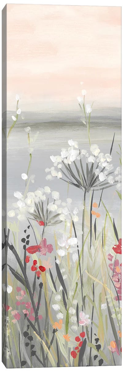 Blushing Wildflowers II Canvas Art Print - Carol Robinson