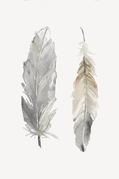 Feathers: Flight of Fancy I by Carol Robinson