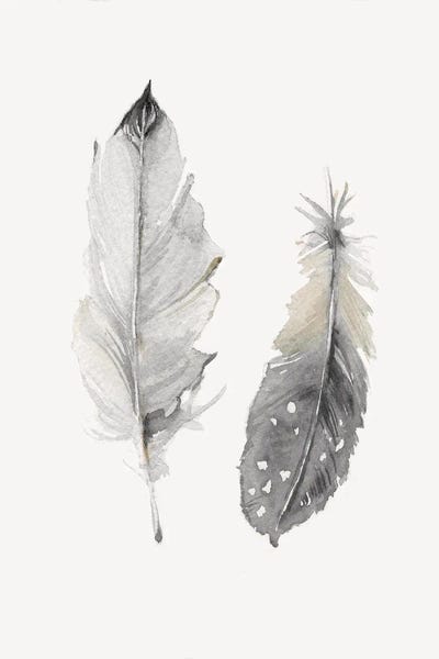 Feathers: Flight of Fancy II by Carol Robinson