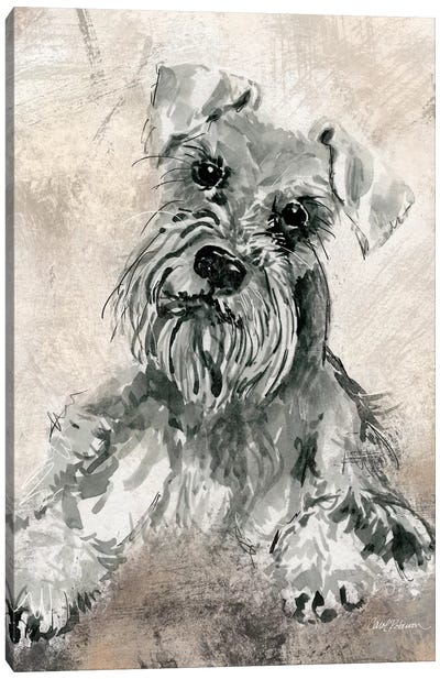 Schnauzer Canvas Art Print - Best Selling Dog Art