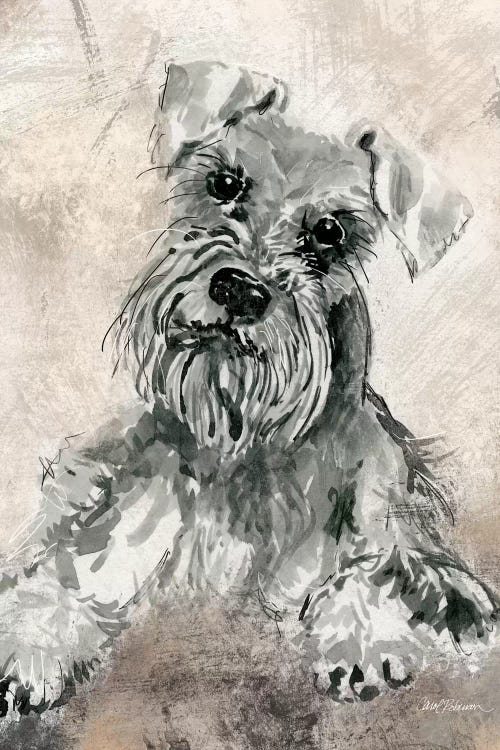 Schnauzer by Carol Robinson wall art