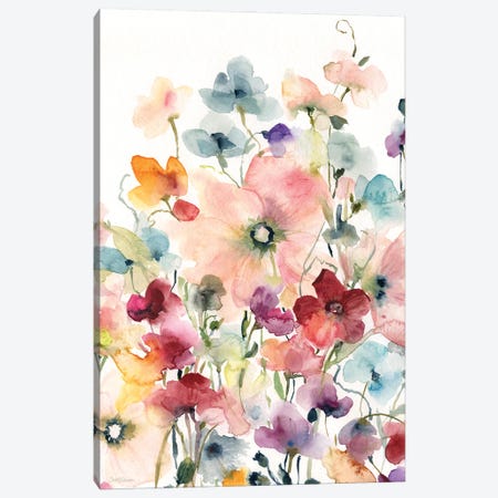 Poppies and Sweetpeas Canvas Print #CRO1199} by Carol Robinson Canvas Wall Art