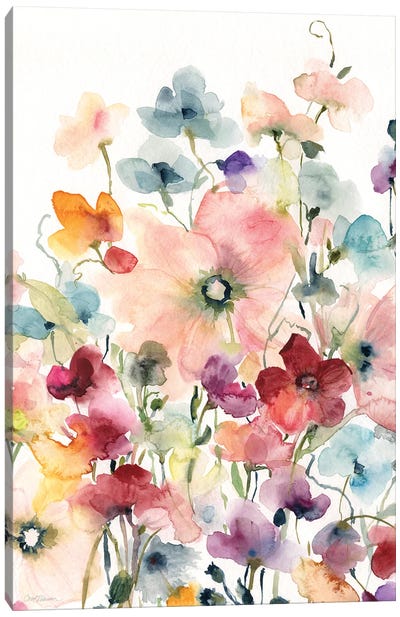 Poppies and Sweetpeas Canvas Art Print - Carol Robinson