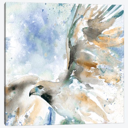 Hawk On Blue Canvas Print #CRO11} by Carol Robinson Art Print