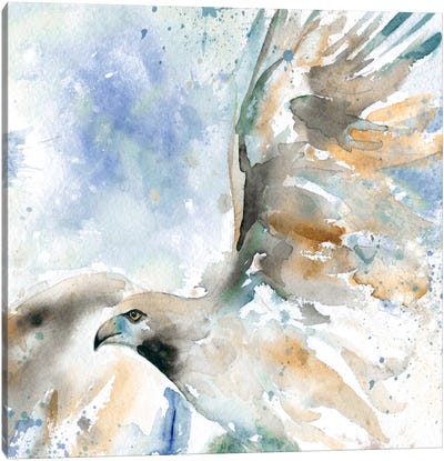 Hawk On Blue Canvas Art Print - Buzzard & Hawk Art