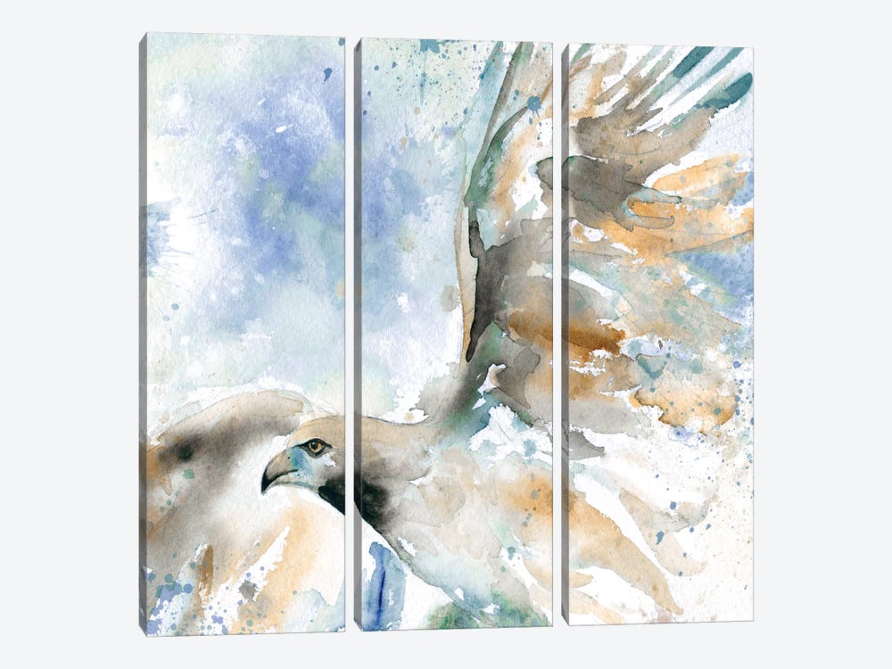Hawk On Blue 3-piece Canvas Art Print