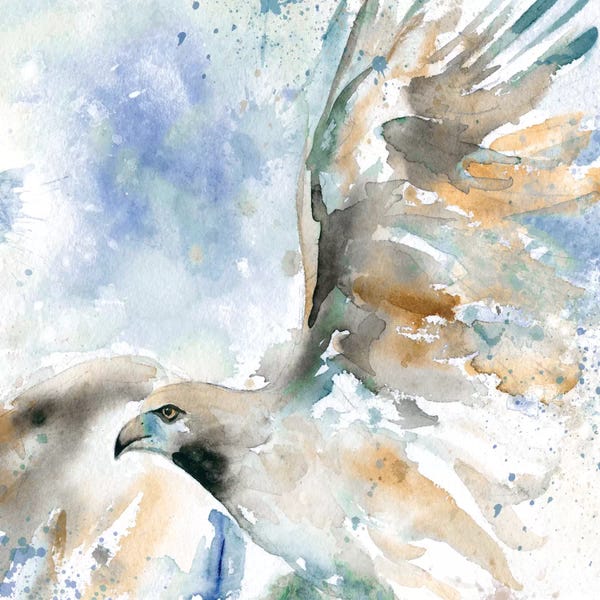 Galaxy Of Graphics: Hawk On Blue by Carol Robinson