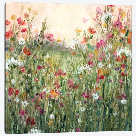 Spring in Full Bloom Canvas Print #CRO1205} by Carol Robinson Art Print