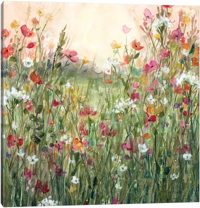 Spring in Full Bloom Canvas Art Print - Wildflowers