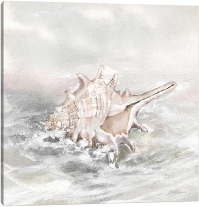 Washed Ashore I Canvas Art Print - Sea Shell Art