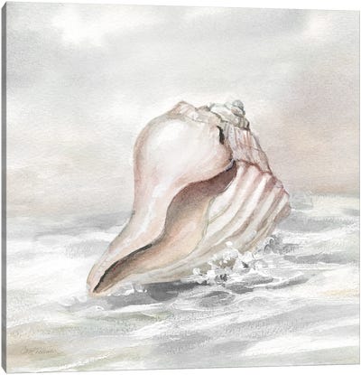 Washed Ashore II Canvas Art Print - Sea Shell Art