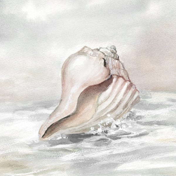 Sea Shells: Washed Ashore II by Carol Robinson